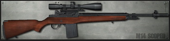 M14 with Scope