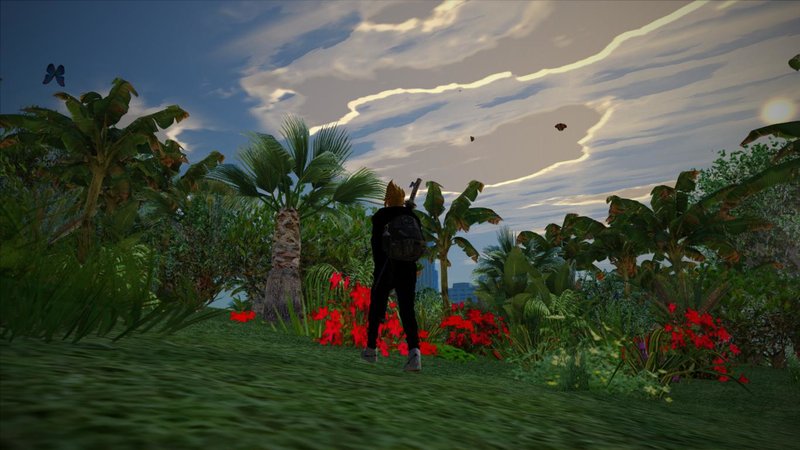 New House CJ New House CJ