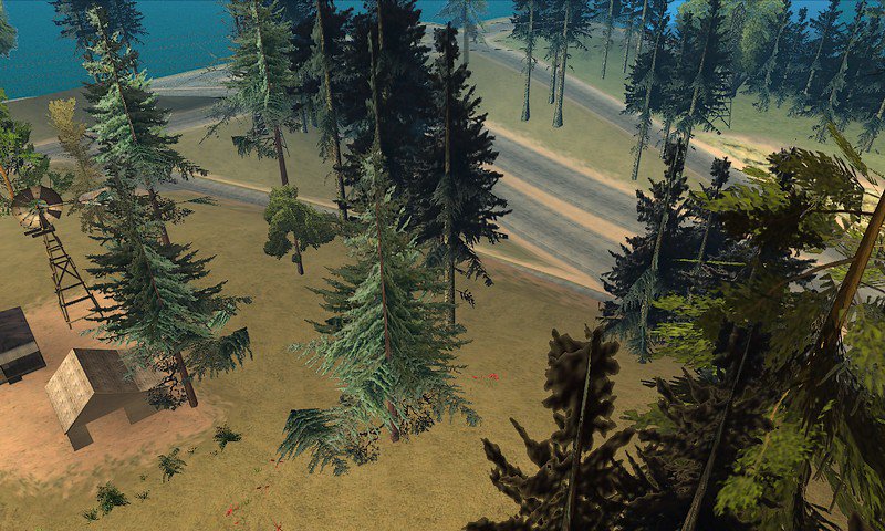 Vegetation in Tierra Robada Vegetation in Tierra Robada