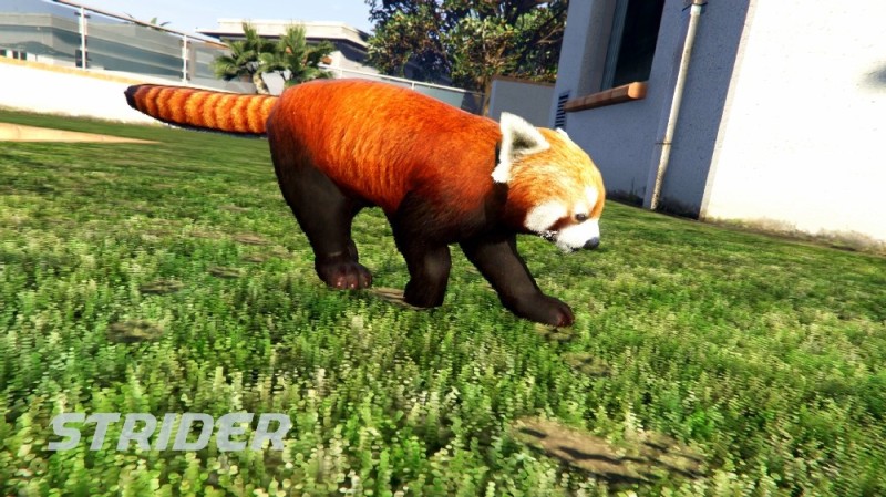 Red Panda Mod v1.0