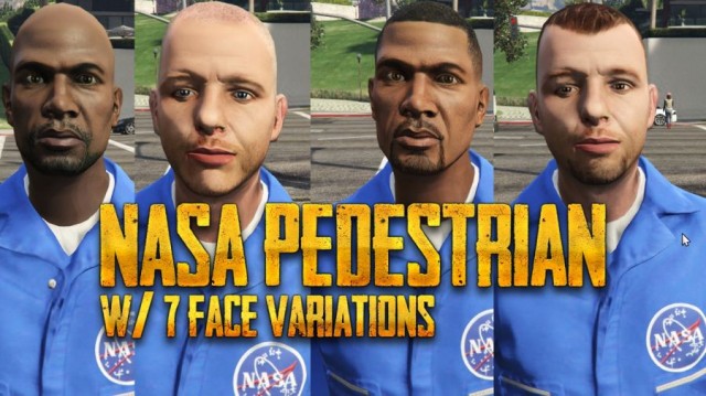 NASA Pedestrian W/7 Face Variations