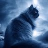 oleg2983