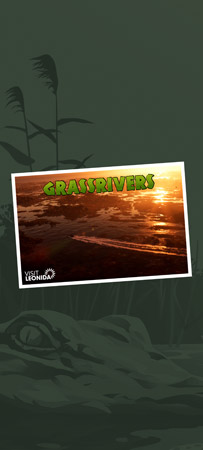 Grassrivers (postcard) — 2160x4800.