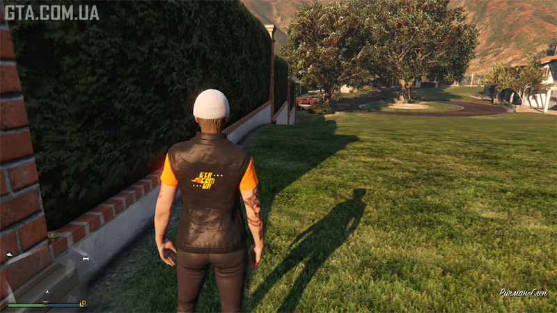 Ямб #25. Живопліт поруч з тенісним кортом на території реабілітаційного закладу в Річман Глен.