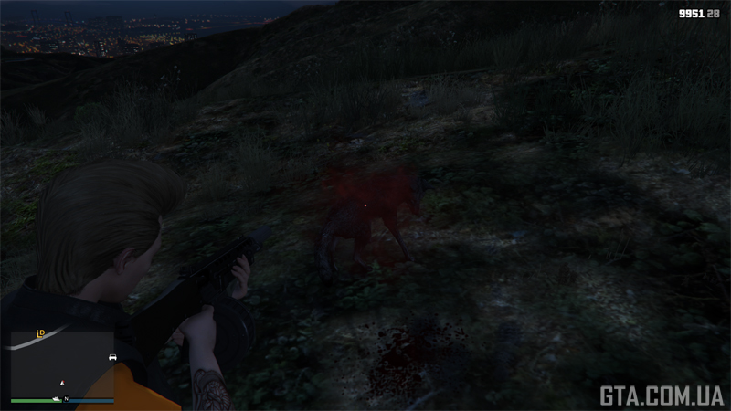 Coyote after possession, near the airstrip in Tongva Hills.