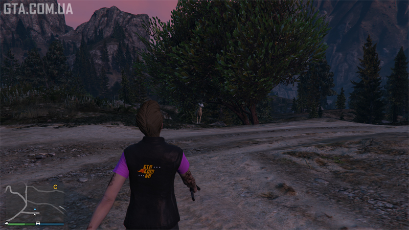 Deer before possession, at a clearing near the Chiliad Mountain State Wilderness.