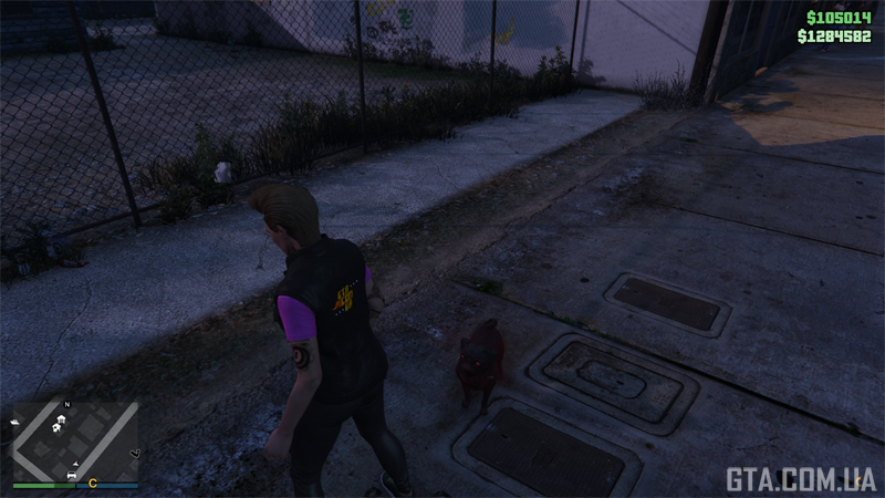 Pug after possession, near The Hen House nightclub in Paleto Bay.