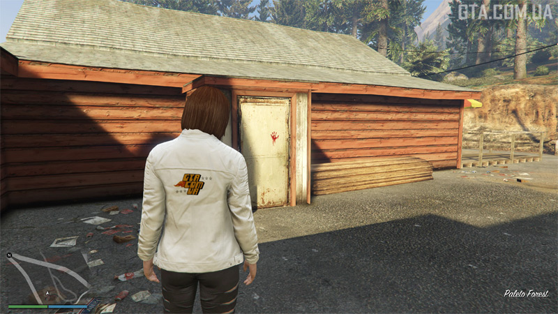 Clue #4. A bloody handprint on a door behind the Bayview Lodge in Paleto Forest.