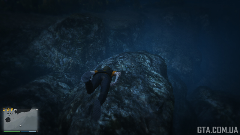 Кактус #59. На подводной скале возле маяка.