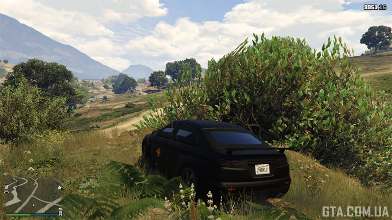 Второй фальшфейер издали.