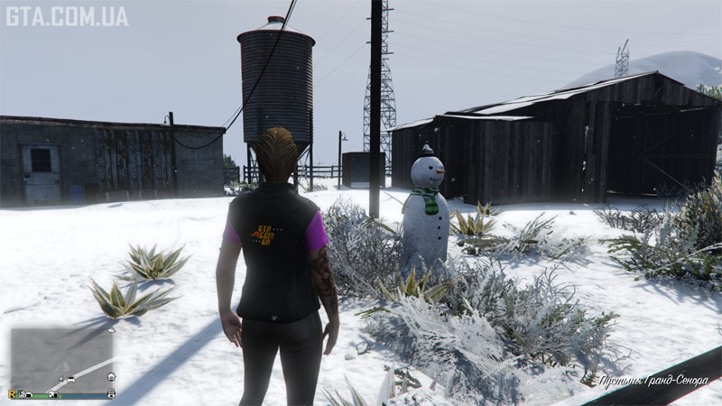 Снеговик #17. Постройки севернее ранчо Ла Фуэнта Бланка.
