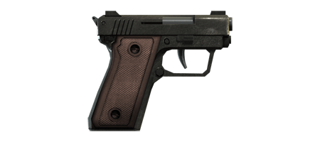 SNS Pistol (Карманный пистолет) SNS Pistol (Карманный пистолет)