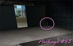 Спрятанный пакет №43 GTA: Vice City