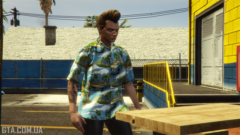 Пальмы вовсе непохожи на те, что растут в Лос Сантосе. Горизонт тоже больше напоминает Вайс Сити в GTA 6.