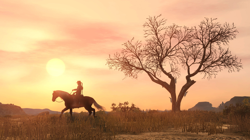 Скриншот Red Dead Redemption на PlayStation 4.