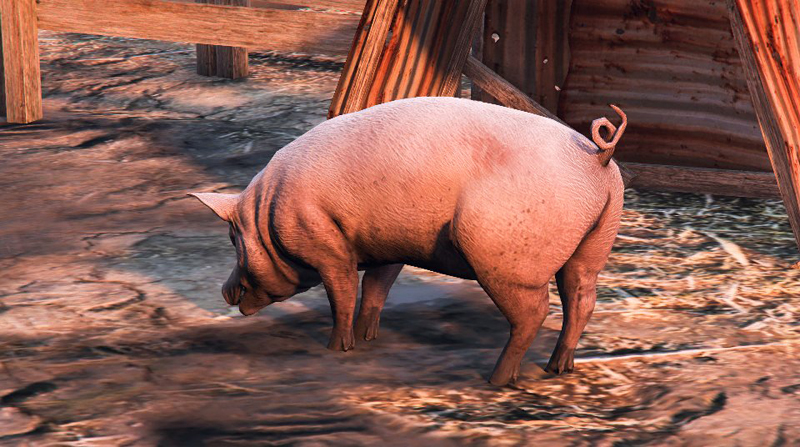 Свинья в GTA Online. Фото: PiLotTRr