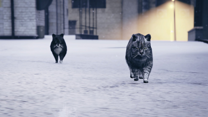 Коты в GTA Online. Фото: LolaClemntine