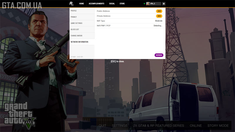 How hidden IP addresses look in the overlay.