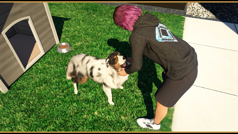 Широкий выбор из 7 пород собак.