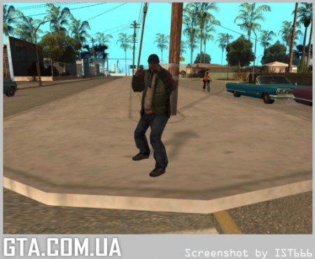 Замаскированные копы	