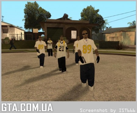 Набор скинов "Los Santos Vagos"