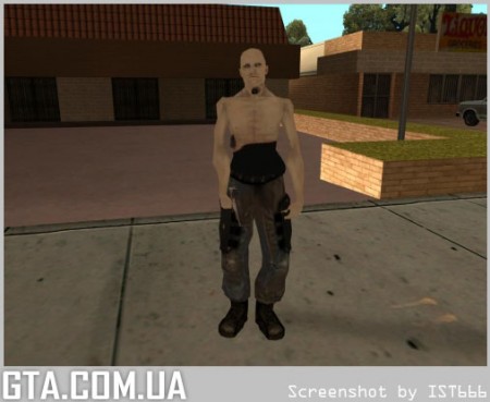 Сталкер из Half-Life 2