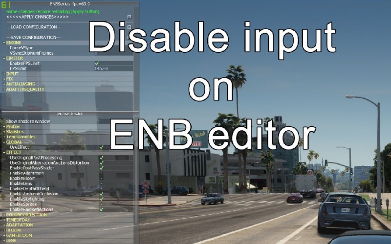 Disable input on ENB editor v1.0