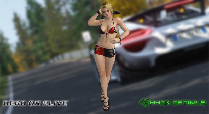 DOA5LR Ultimate Sexy Racer Skins Pack