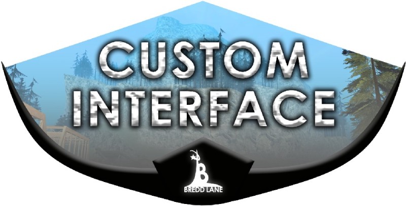 Custom Interface