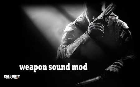 Call of Duty: Black Ops 2 Weapon Sound