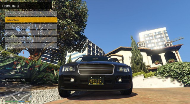 GTA IV License Plate Pack v1.0