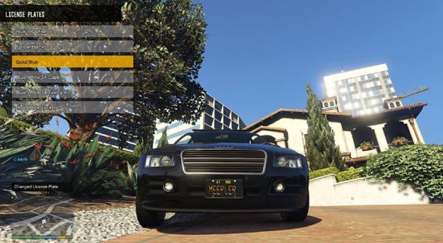 GTA IV License Plate Pack v1.0