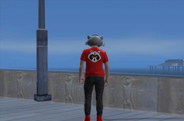Raccoon Mask (GTA Online)