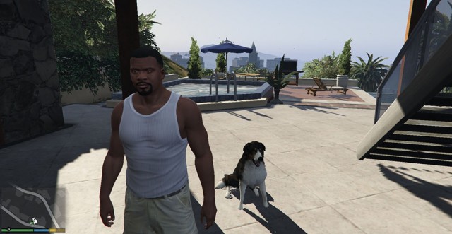 Chop to Shepherd pet mod