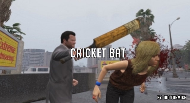 Cricket Bat v1.0