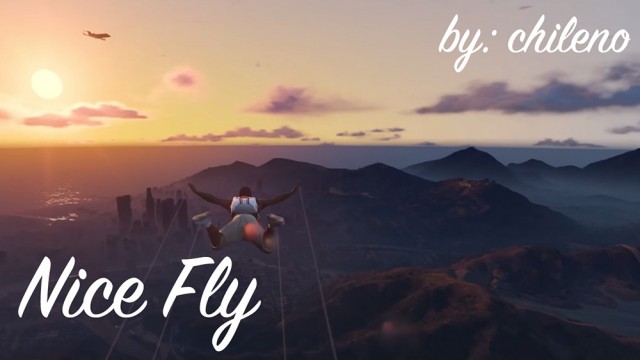 Nice Fly v2.5