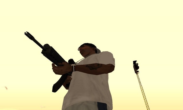 SIG-556XI Assault Rifle