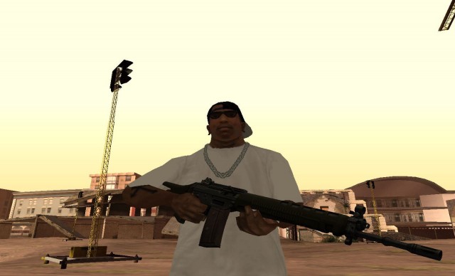 SIG SG-550 Assault Rifle