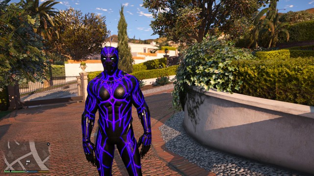 Black Panther from Black Panther Movie v1.1