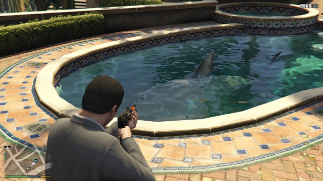 Sharks in the Pool