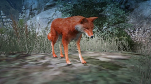 Wild Fox v1.0